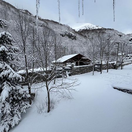 Villa Vikendice Biocinovici Kolašin Exterior foto