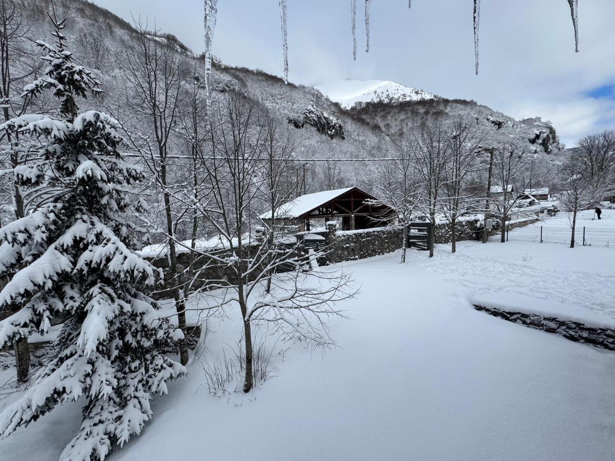 Villa Vikendice Biocinovici Kolašin Exterior foto